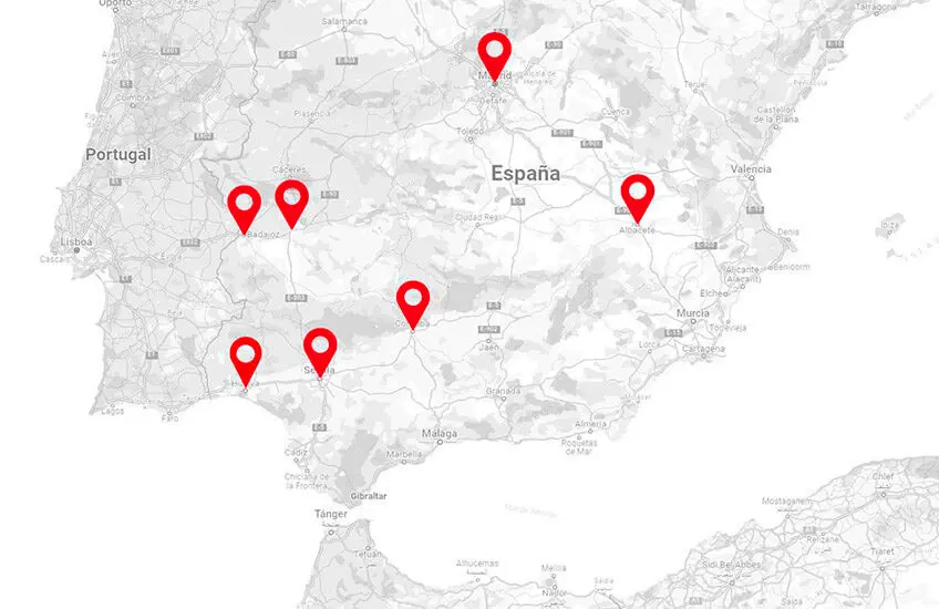 clinica injerto capilar españa